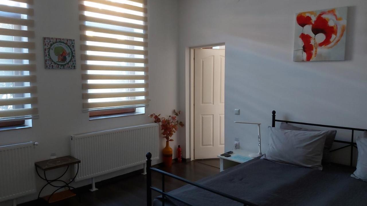 City Center Minimalist Apartment Oradea Exterior photo